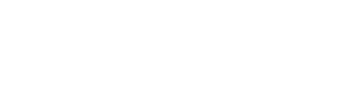 6515e5ffed320d852f715c6d_Lane 201